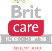 britLogo